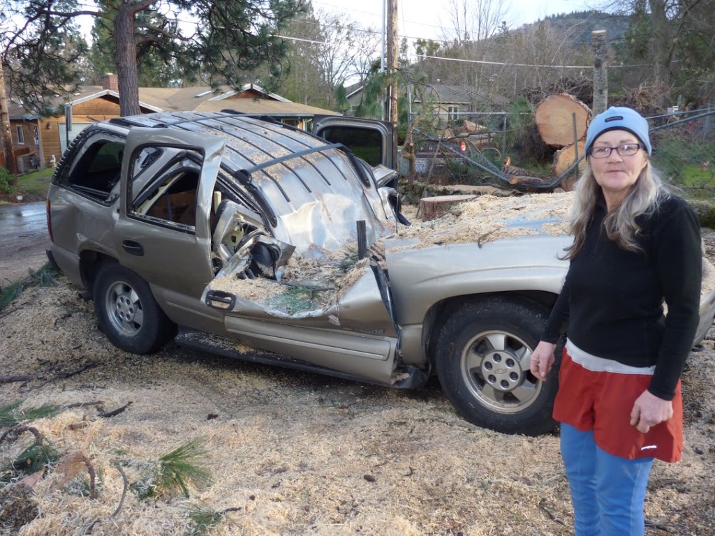 Car and House crushed By Giant Ponderosa Pine Tree